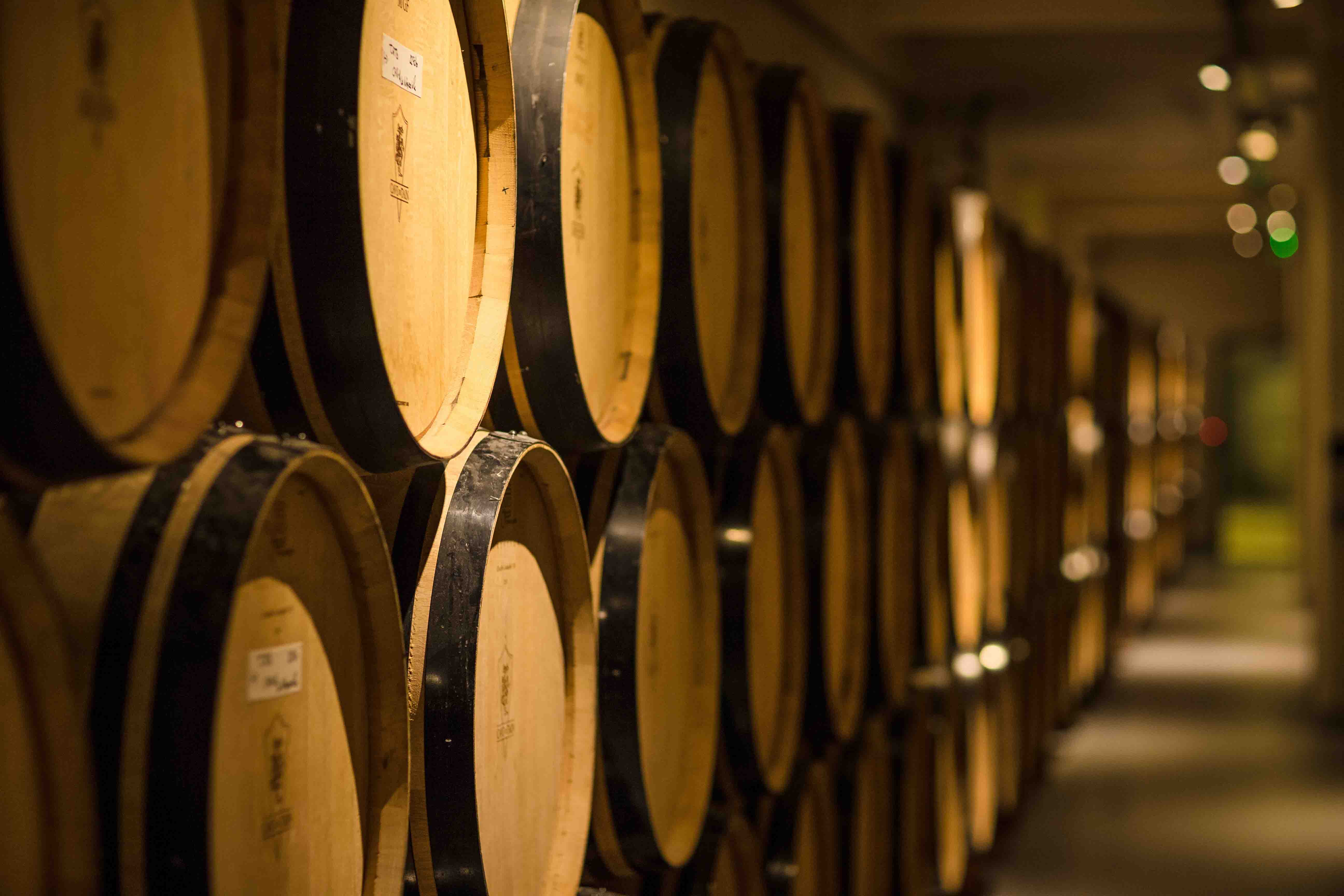 You are currently viewing Les vendanges avec la Cave de Tain