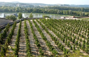 Lire la suite à propos de l’article [Save the date] Rencontre et discussions autour du vin