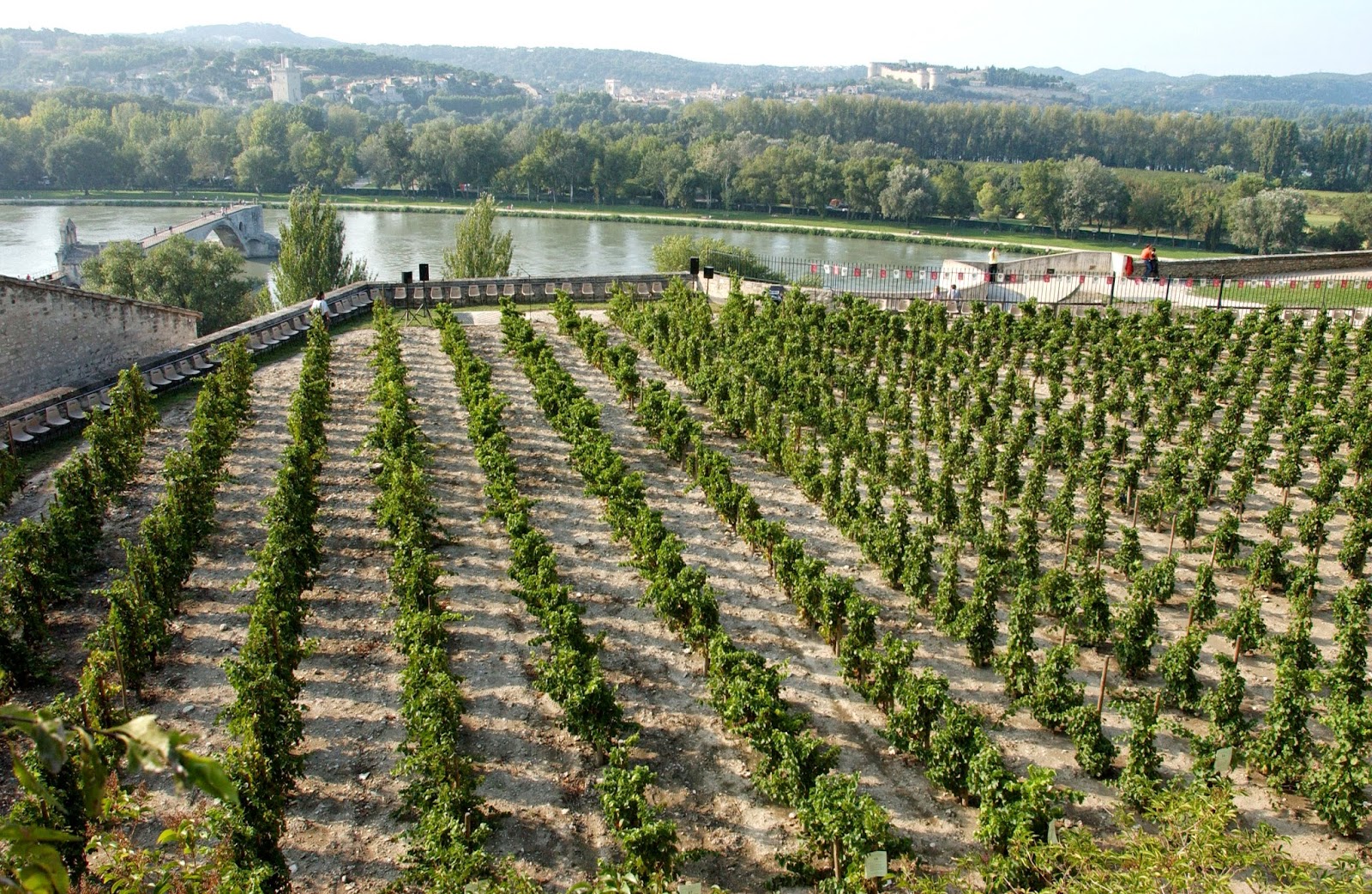 You are currently viewing [Save the date] Rencontre et discussions autour du vin